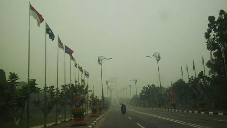 4.473 Warga Siak Derita 5 Penyakit Akibat Kabut Asap 