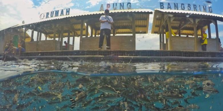 Bangsring Under Water dan Ijen Resort Wakili Indonesia di UNWTO Awards 2016 
