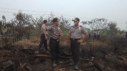 Kapolda Riau Tinjau 100 Hektar Lahan Terbakar di Pelalawan 