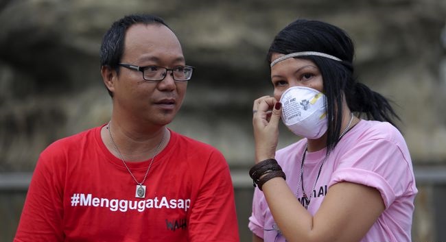 Terbukti Bakar Hutan, WALHI Desak Pemerintah Cabut Izin BMH