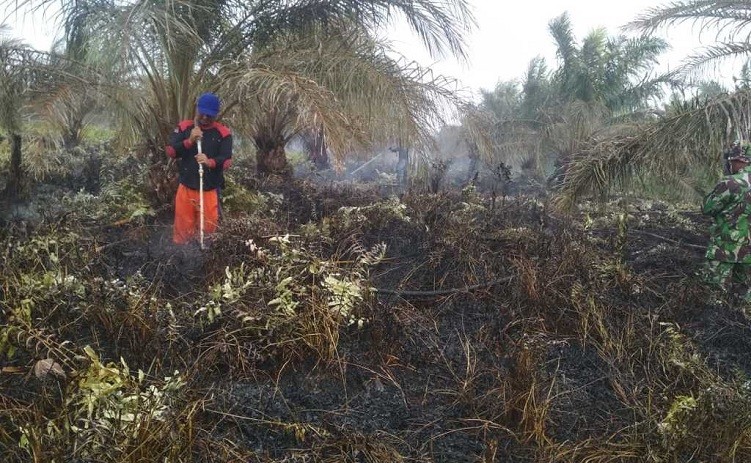 Sudah 10 Hari Karhutla di Pulau Bengkalis Tak Kunjung Padam 