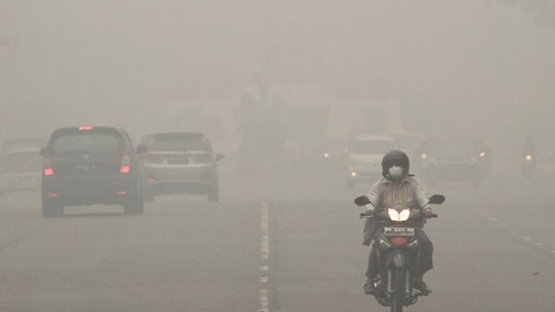 Darurat Karhutla Riau Dicabut, 9.713,80 Hektar Lahan Terbakar