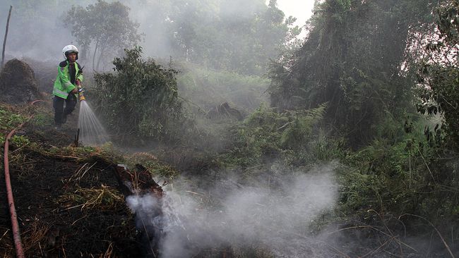 Karlahut, Bupati Bengkalis Instruksikan Camat Kades Siaga 24 Jam 