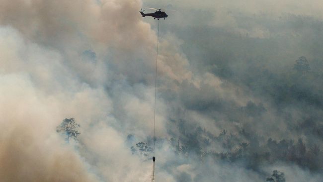 Sinar Mas Siapkan Rp261 miliar untuk Lawan Kebakaran Hutan