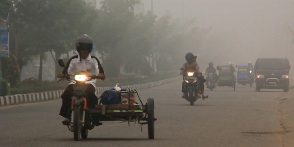Bupati Rohul Minta PemerintahPusat Bertindak Cepat Tangani Bencana Asap 