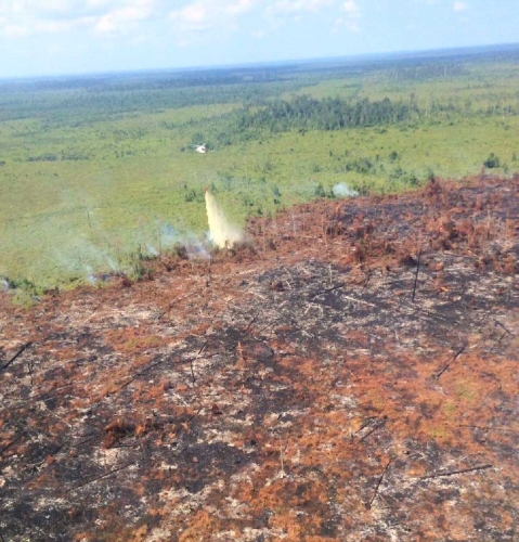 14 Titik Panas Muncul di Riau Sore Ini, Satgas Tabur 800 Ton Bahan Semai Picu Hujan Buatan 