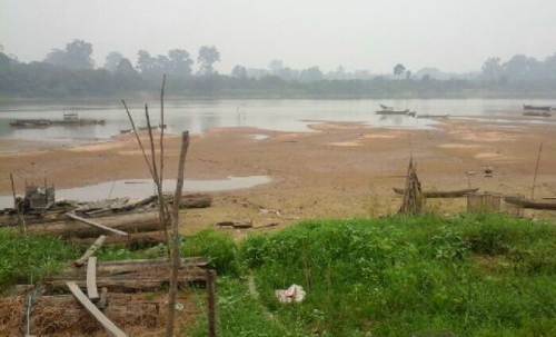 Air Sungai Kampar Surut, Petani Keramba di Pelalawan Terancam Merugi Akibat Kemarau