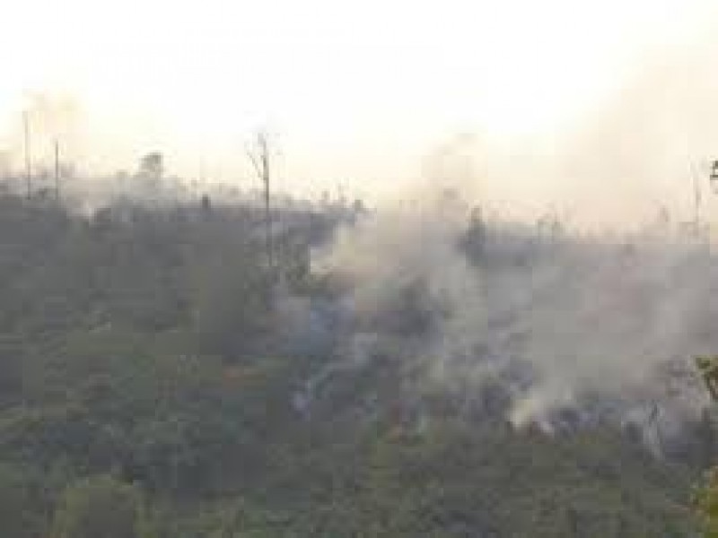 7 Hotspot Terpantau di Riau, Inhu Terbanyak