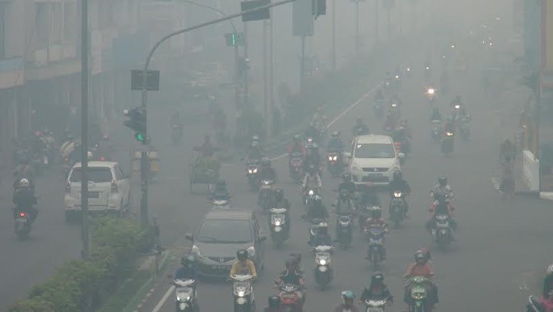 BNPB: 3 Provinsi Beri Status Tanggap Darurat Asap, 3 Lainnya Masih Ditunggu