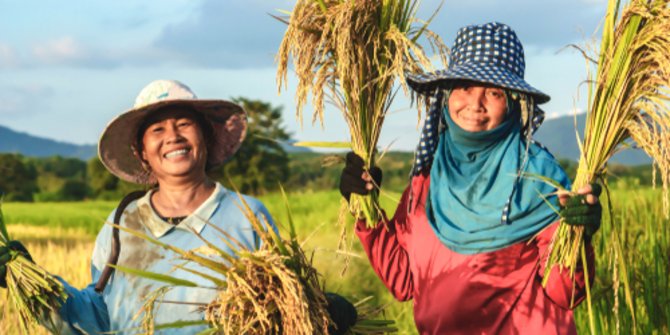 Petani Padi Diminta Tidak Perlu Takut Gagal Panen