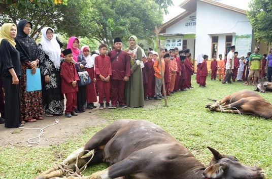 Biasakan Ibadah Sejak Dini, Sejumlah SD di Bengkalis Potong Hewan Kurban