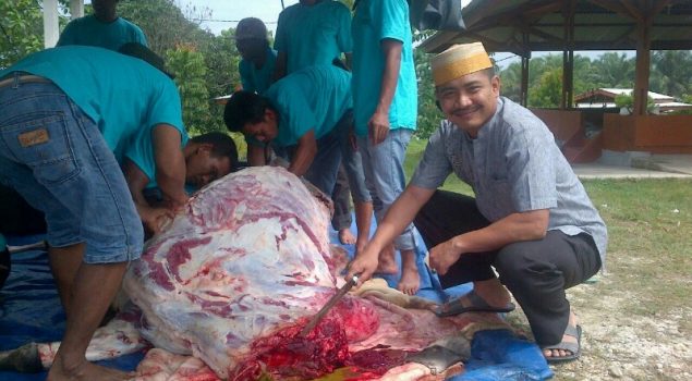 Polres Siak Kurban 7 Ekor Sapi di Idul Adha 2016
