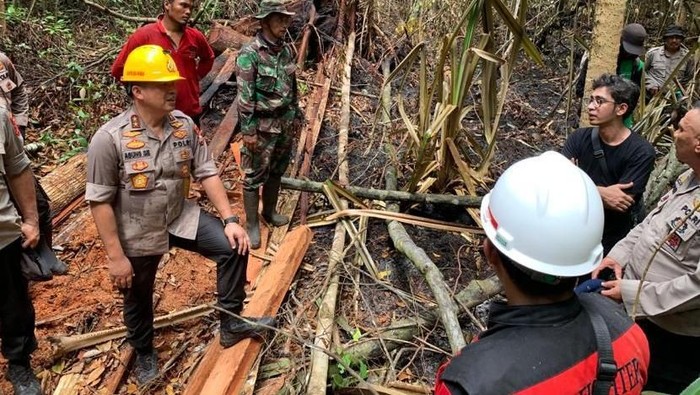 Geram, Kapolda Riau Usut Pelaku Illegal Logging Penyebab Karhutla