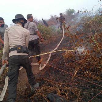 Untuk Menghemat Biaya, Kementerian LHK Sebut Kebakaran Hutan Dilakukan Perusahaan