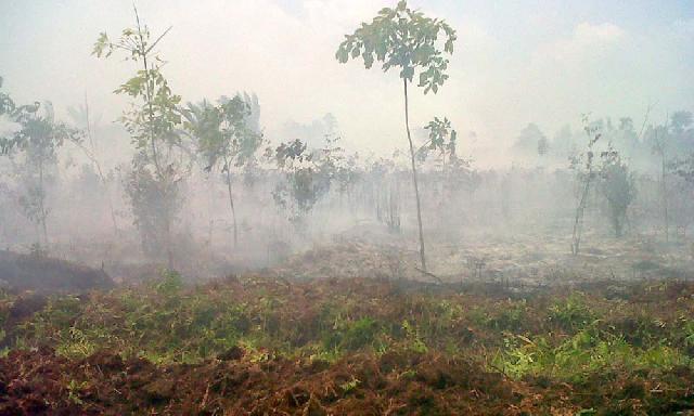 Pekanbaru Dikepung Api, Udara Berkabut