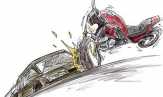 Laga Kambing, Pengendara Motor Tewas di Tempat