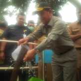 Pemkab Pelalawan Akan Jadikan Langgam Sentra Manggis 2020