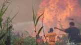 Polri Tetapkan 204 Tersangka Kasus Pembakaran Lahan dan Hutan