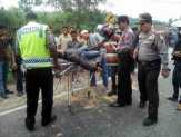 Tabrakan Maut Motor dengan Tronton di Pelalawan, Satu Orang Tewas, Satu Lagi Putus Kaki
