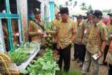 Hadiri PEDA KTNA, Bupati Harapkan Peserta dari Inhil Menggali Pengetahuan Tentang Pertanian