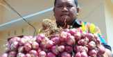 Indonesia Stop Impor Bawang Merah