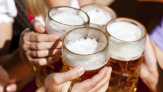 Pop-up Bar di London Dilayani oleh Anjing 'Bark-tender'