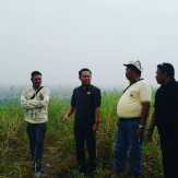 Ratusan Hektar Lahan Terbakar, PT. Safari Riau Selamat dari Proses Hukum?