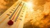 Temperatur Riau Capai 35 Derajat Celcius