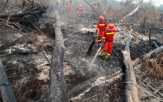 Perusahaan Malaysia Ikut Bakar Hutan Indonesia