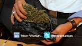 Saat Operasi Zebra, Polsek Tapung Amankan Ganja 3 Kg dan Sabu 22,72 Gram