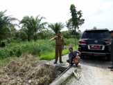 Bupati Tinjau Kondisi Jalan di Kecamatan Sinaboi