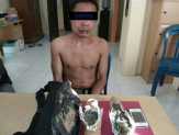 Gerebek Rumah di Ujungbatu, Kakek Pengedar Ganja Ditangkap Polres Rohul