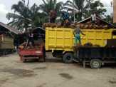 Harga TBS Petani Naik