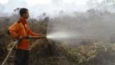 Polisi Belum Bisa Sentuh Korporasi, Kasus Kebakaran Hutan di Riau