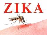 Tes Zika Sulit dan Mahal, Pemeriksaan di Indonesia Masih 'Pilih-pilih'