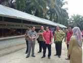 Pemkab Katingan Belajar Siska Dengan Pemkab Pelalawan