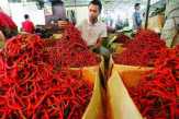 Harga Cabe Merah dan Tomat di Pekanbaru Turun