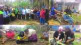 Ternyata Masih Banyak Warga Desa Lemang Gunakan Atap Rumbia