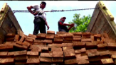 Diduga dari TNTN, Polres Pelalawan Amankan Truk Angkut Kayu Ilegal