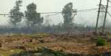 Kebakaran Hutan di Meranti, Petugas Kesulitan Cari Air untuk Padamkan Api