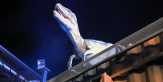 Serba Dinosaurus, Taman Wisata Terbaru di Bangkok