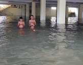 Gedung LAM Riau Kota Pekanbaru Belum Dipergunakan Basement Jadi Kolam, Fasilitas Banyak Dicuri