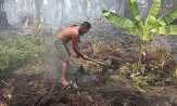 Pemda Janji Bantu Kebun Warga yang Terbakar