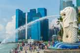 Beasiswa Penuh S1 Singapura, Lulus Kuliah Penempatan Kerja