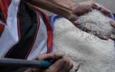 Harga Beras Naik Hingga Rp900 per Kg