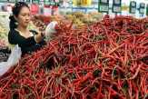 Produksi Bawang Merah-Cabai Ditargetkan Naik 7 Persen