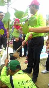 Pemkab Adakan Penghijauan Lingkungan