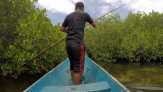 Perjuangan Membangun 'Benteng' Mangrove di Tongke-Tongke