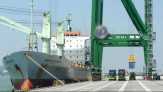 Menko Maritim Janji Pangkas Puluhan Izin Impor