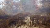 Puluhan Hektar Lahan di Parit Bantalan, Terbakar